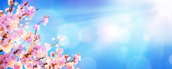 戰(zhàn)疫情，北京韋林公司全體員工齊心協(xié)力共克時艱！